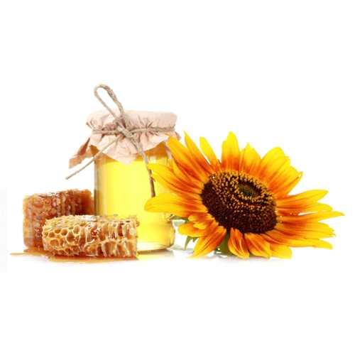 Калорийность разных видов меда. Считаем калории 14 Калорийность разных видов меда. Считаем калории 14