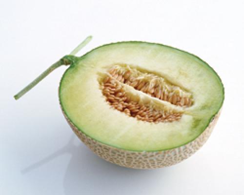 Дыня противопоказания. Дыня — польза и вред