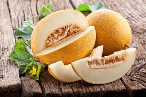 Медовая дыня. Описание с фото дыни сорта “Медовая”