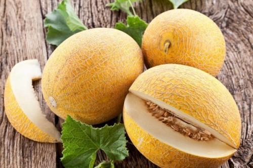 Дыня. Самые лучшие сорта дынь: их особенности и выращивание