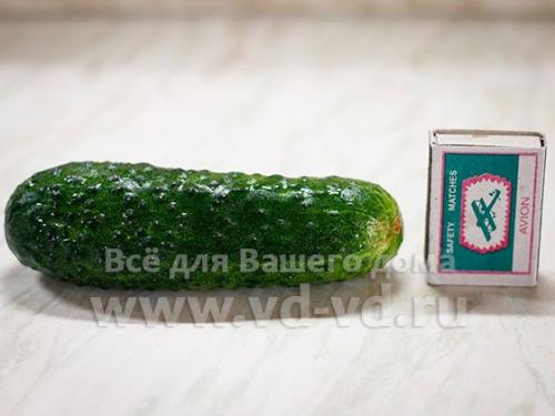 Огурец вес 1 шт. Сколько в одном огурце грамм