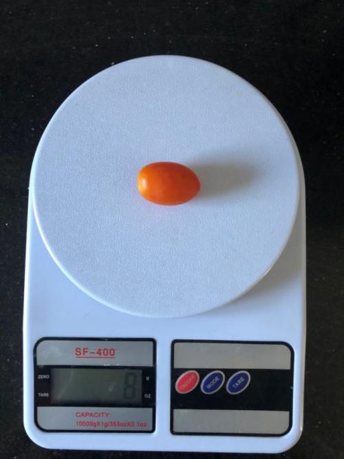 1 помидор сколько грамм. Сколько весит помидор черри