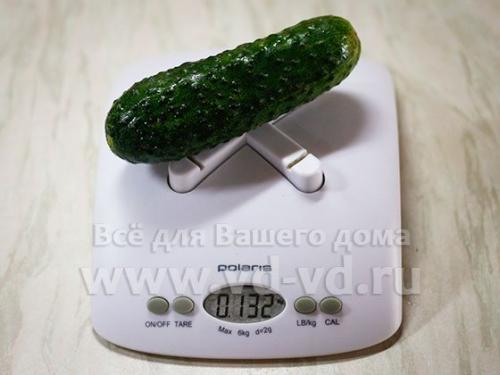 Огурец вес 1 шт. Сколько в одном огурце грамм