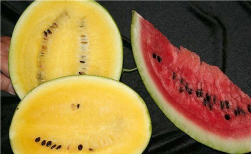 17 интереснейших фактов об арбузах. Интересные факты об арбузах 01